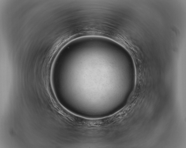 X0000113760241200909231211