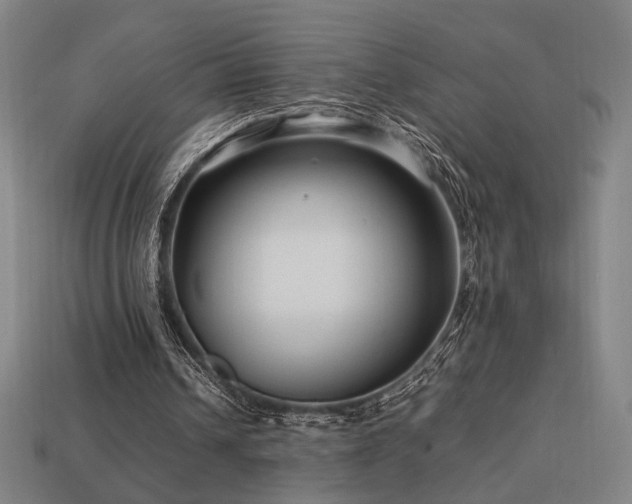 X0000113760242200909231211