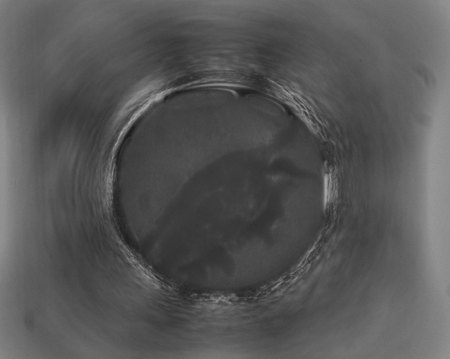X0000113760243200909231211