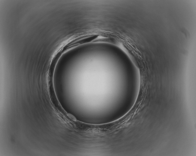 X0000113760244200909231211