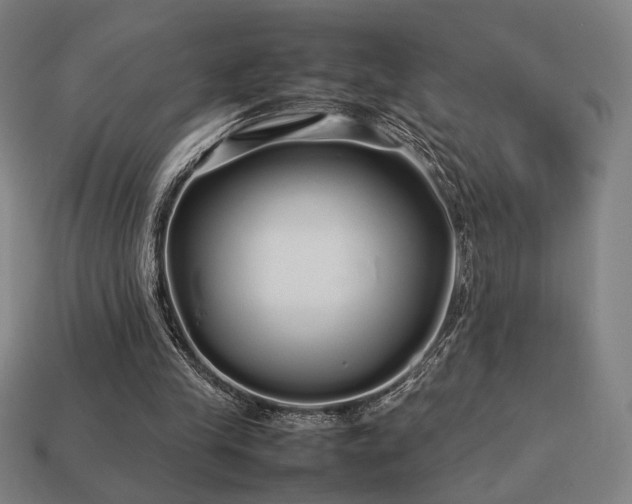 X0000113760245200909231211