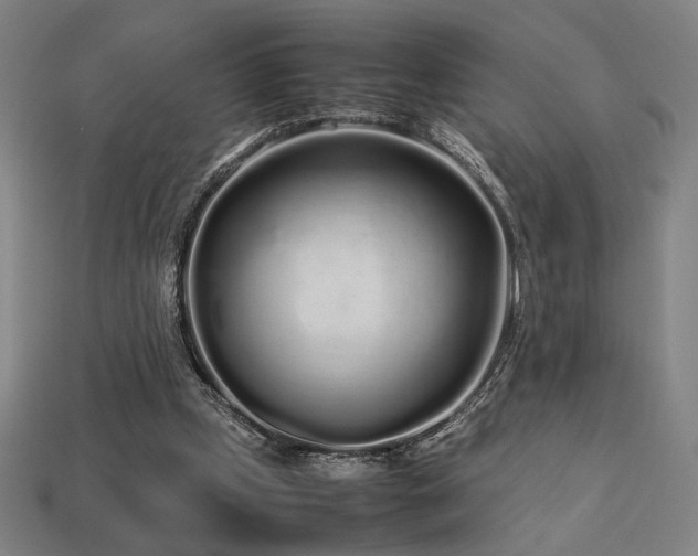X0000113760249200909231211