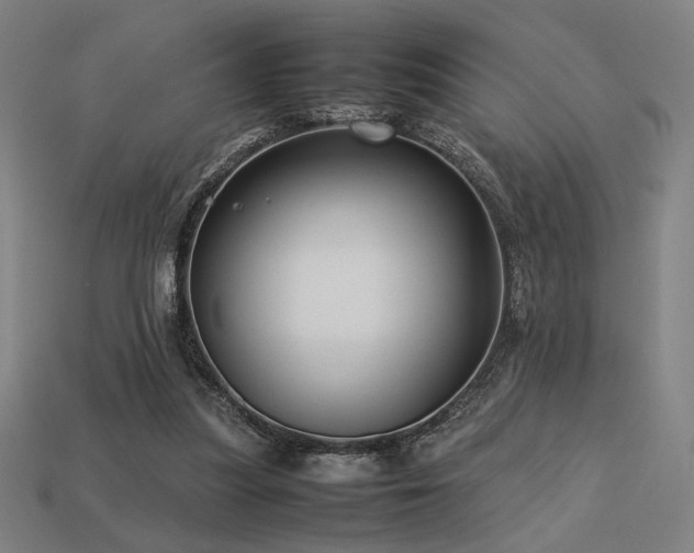 X0000113760251200909231211
