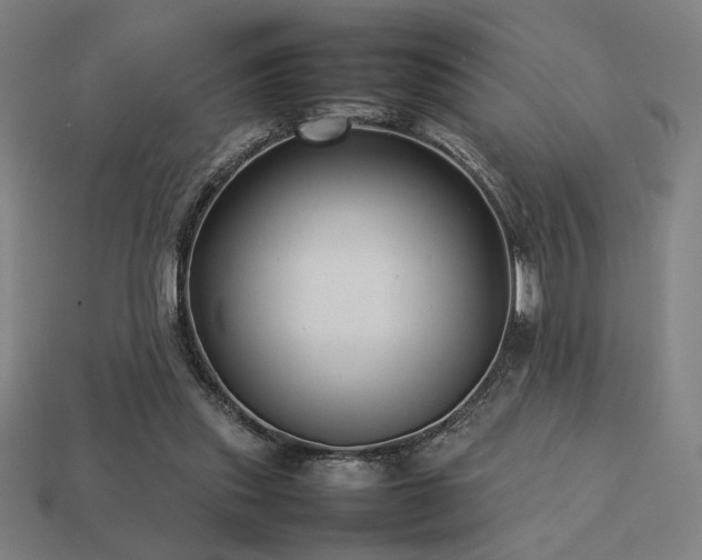 X0000113760253200909231211