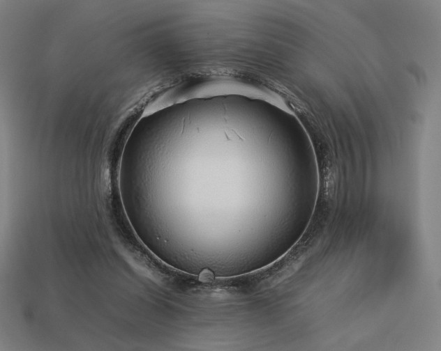 X0000113760254200909231211