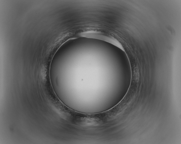 X0000113760255200909231211