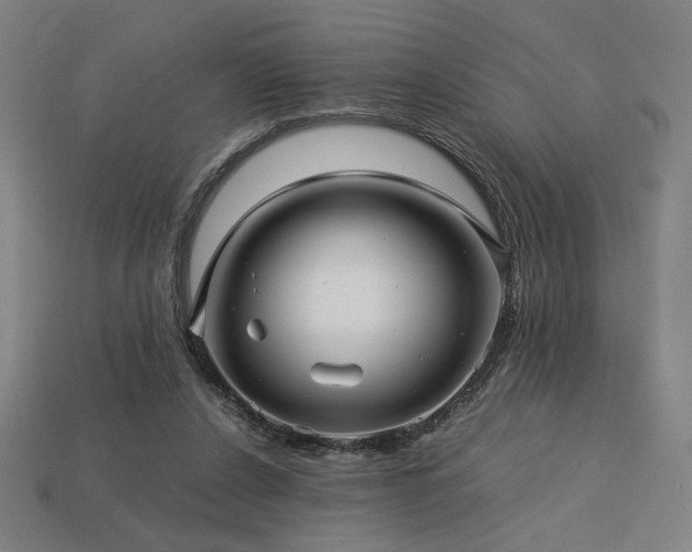 X0000113760256200909231211