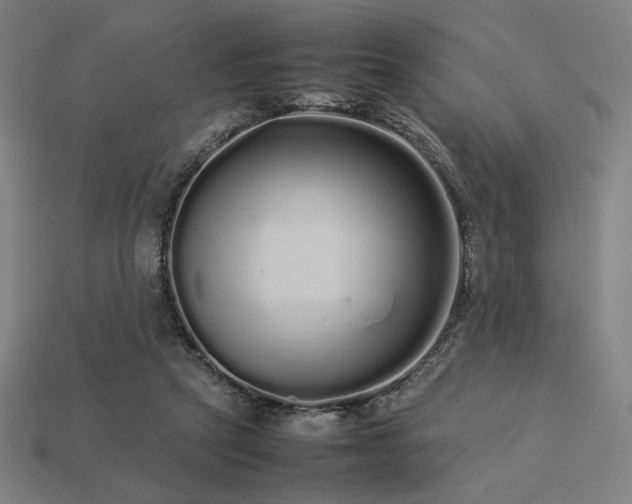 X0000113760257200909231211