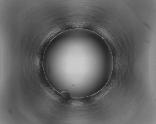 X0000113760258200909231211