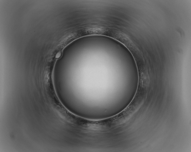 X0000113760259200909231211