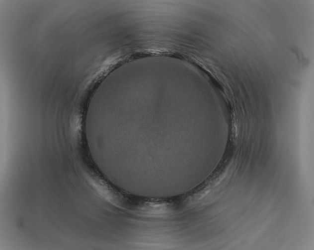X0000113760260200909231211