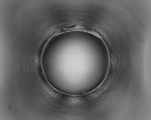 X0000113760261200909231211