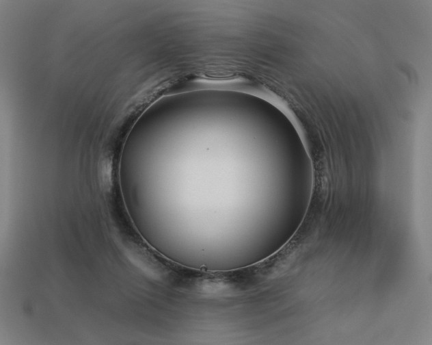 X0000113760262200909231211