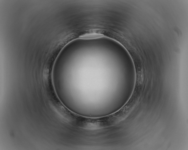 X0000113760263200909231211