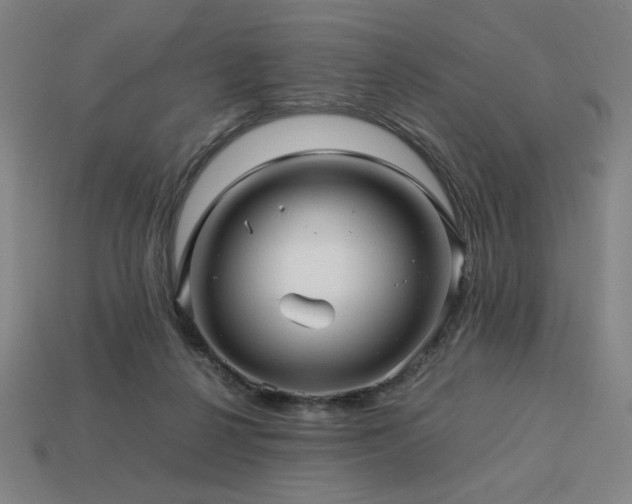 X0000113760264200909231211