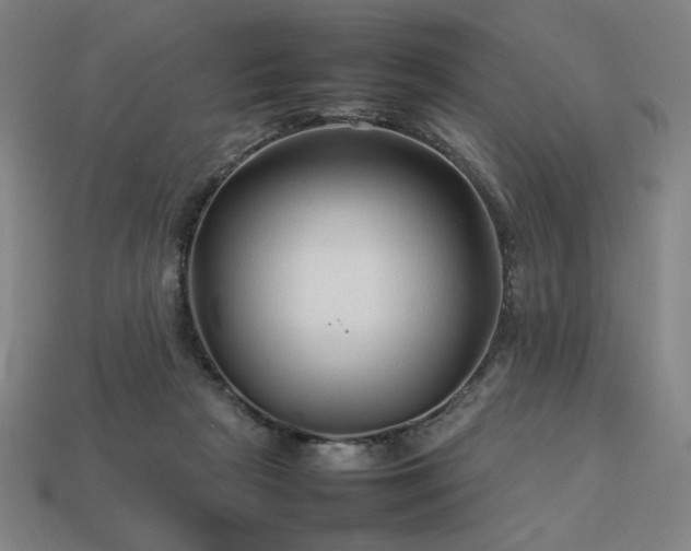 X0000113760265200909231211