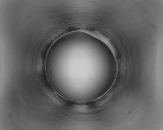 X0000113760266200909231211