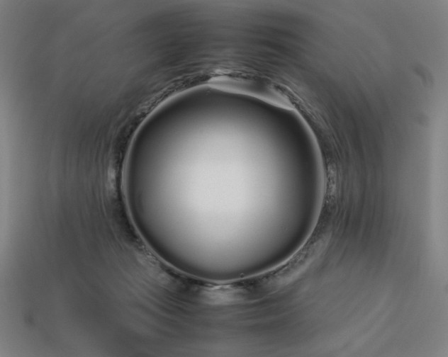 X0000113760269200909231211