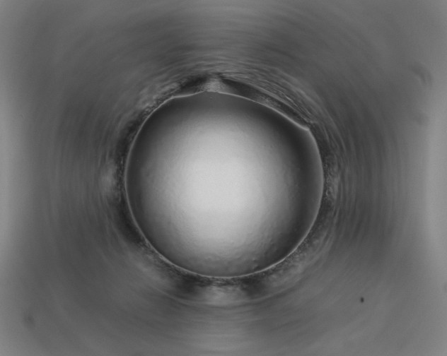 X0000113760270200909231211