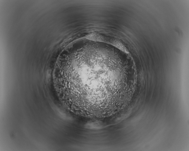 X0000113760271200909231211