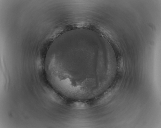 X0000113760272200909231211