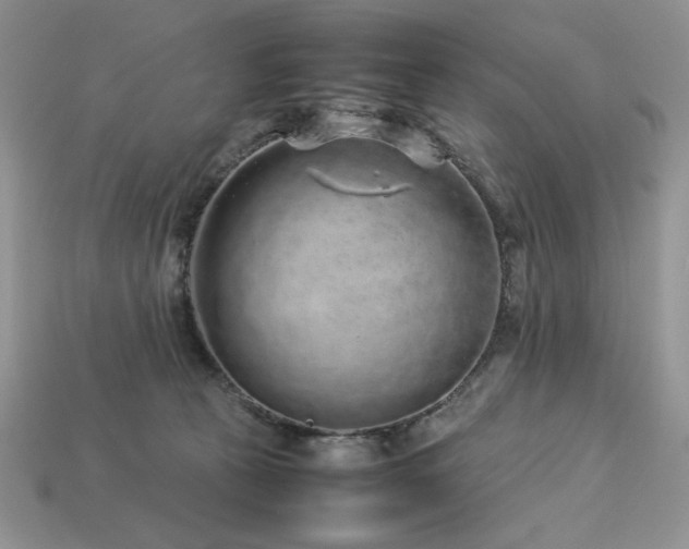 X0000113760273200909231211