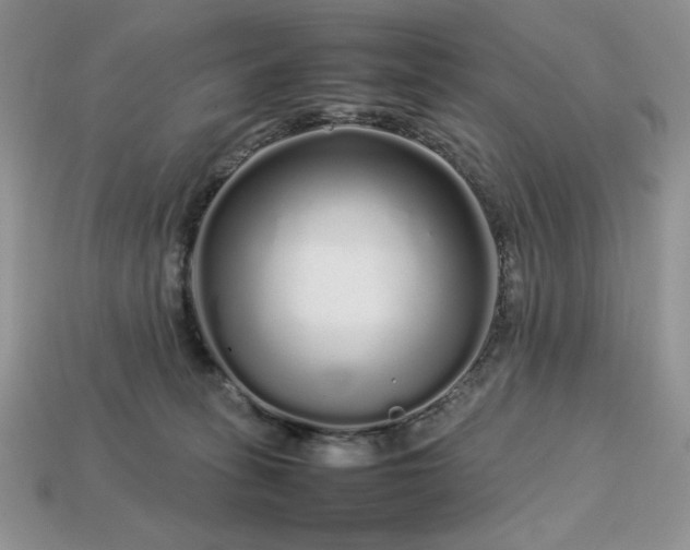 X0000113760275200909231211