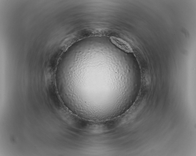 X0000113760276200909231211
