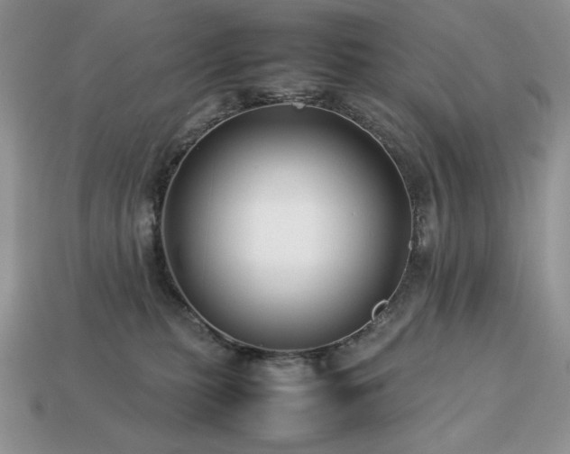 X0000113760279200909231211