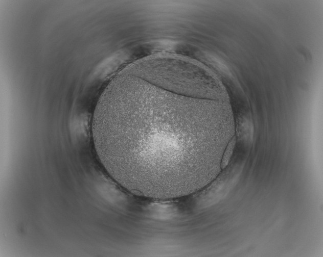 X0000113760280200909231211