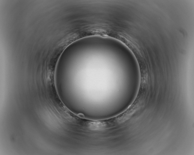 X0000113760281200909231211