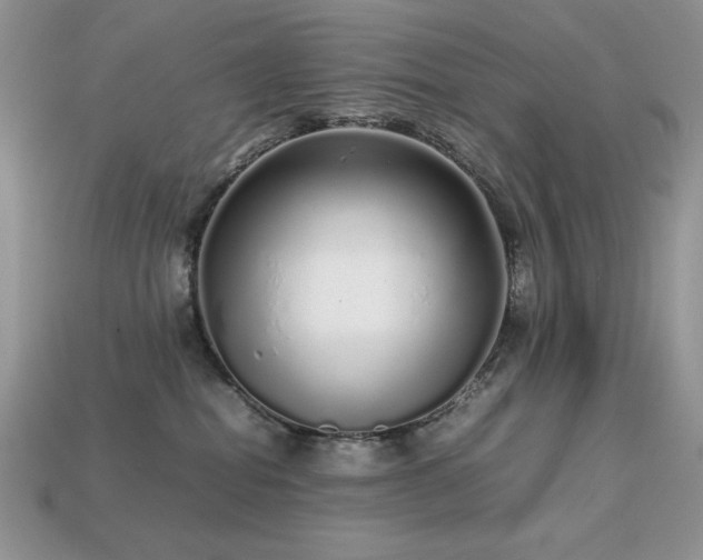 X0000113760282200909231211