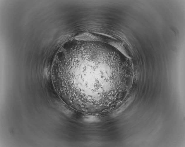 X0000113760285200909231211