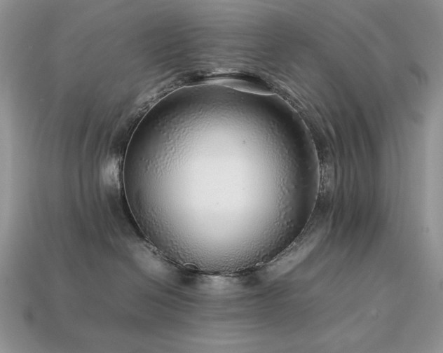 X0000113760286200909231211
