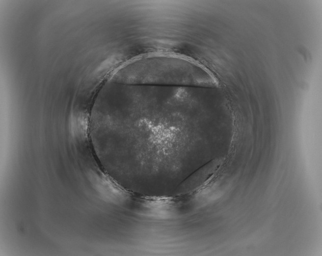 X0000113760288200909231211