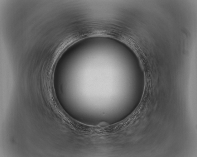 X0000113760289200909231211