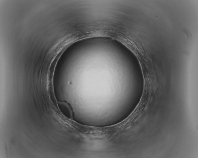 X0000113760290200909231211