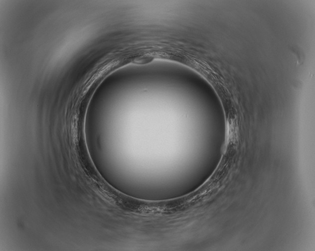 X0000113760291200909231211