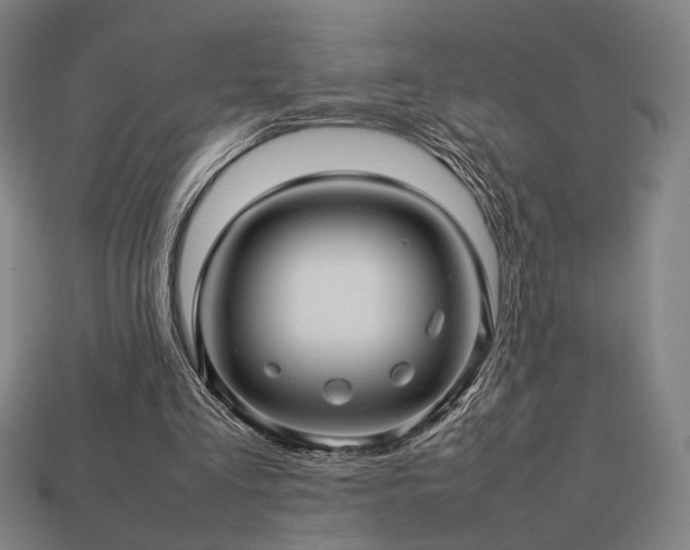 X0000113760293200909231211