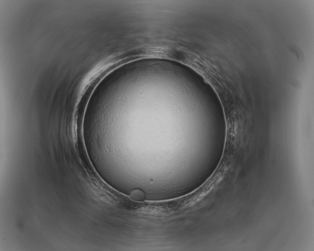 X0000113760294200909231211