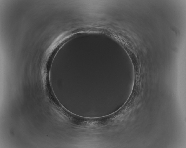 X0000113760295200909231211