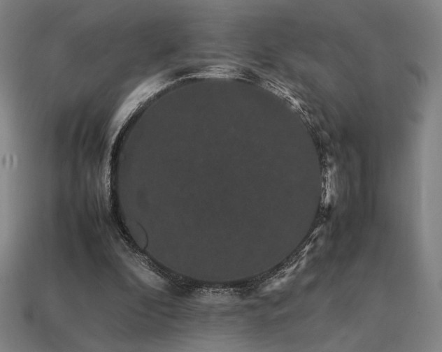 X0000113760296200909231211