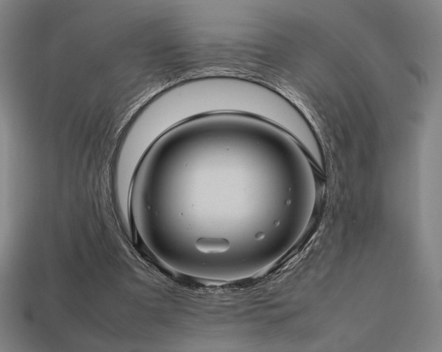 X0000113760297200909231211