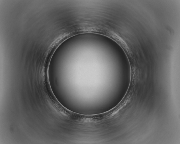 X0000113760298200909231211