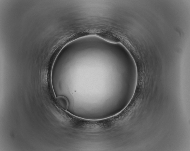 X0000113760299200909231211
