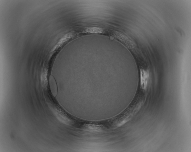 X0000113760300200909231210