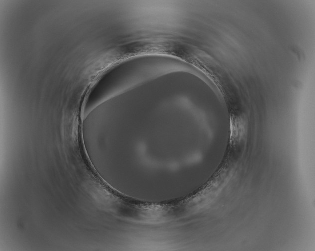X0000113760301200909231210