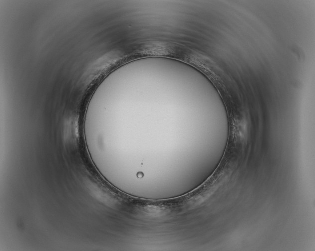 X0000113760302200909231210