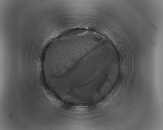 X0000113760303200909231210