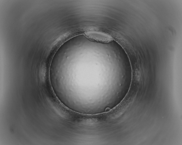 X0000113760304200909231210